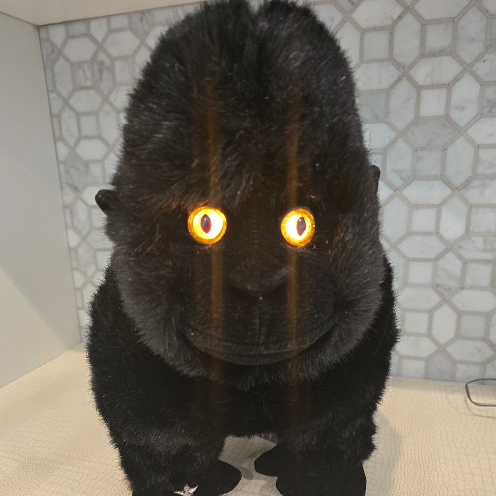 🦍Gorilla with bright eyes and sound